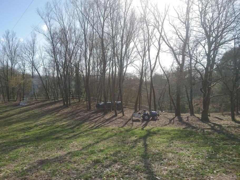 Location Meublee Au Milieu D'Un Ecrin De Verdure Aux Vieux Fours Noaillac المظهر الخارجي الصورة