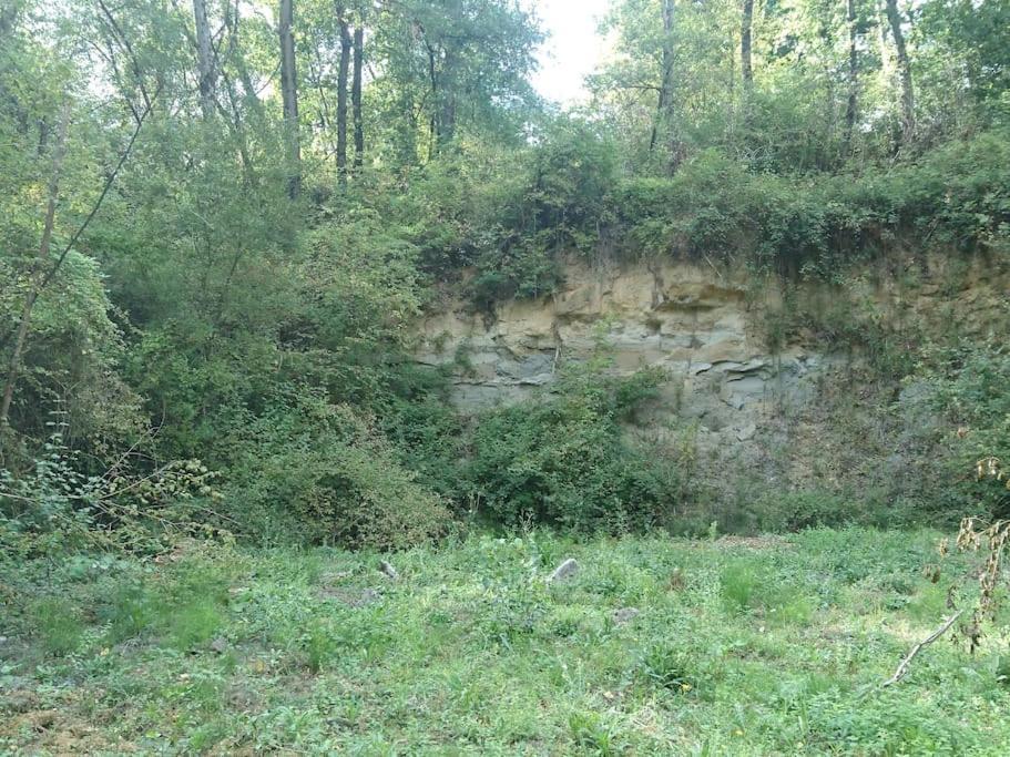 Location Meublee Au Milieu D'Un Ecrin De Verdure Aux Vieux Fours Noaillac المظهر الخارجي الصورة
