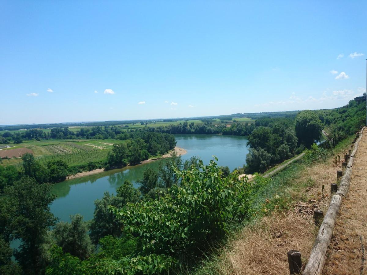 Location Meublee Au Milieu D'Un Ecrin De Verdure Aux Vieux Fours Noaillac المظهر الخارجي الصورة